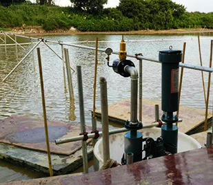 浙江蕭山東直河項目 浙江蕭山東直河項目