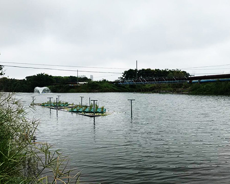 黑偉黑偉沉水式風(fēng)機(jī)使用方便噪音小! 黑偉黑偉沉水式風(fēng)機(jī)使用方便噪音小!