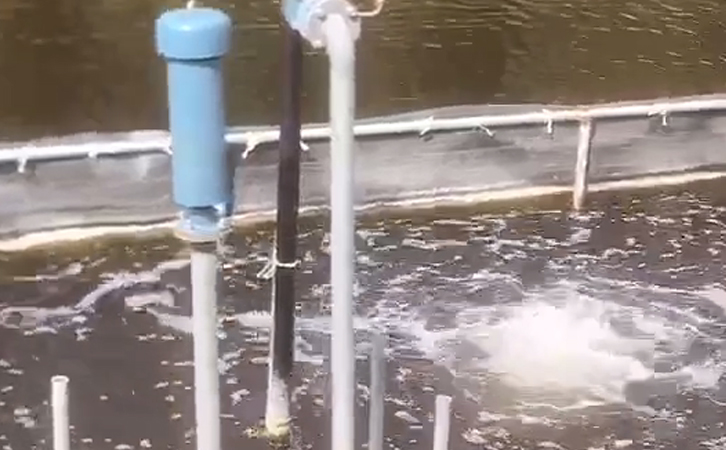 沉水鼓風機進氣口 – 你所不知道的事情 沉水鼓風機進氣口 – 你所不知道的事情